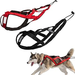 Harnais de Traction pour Chiens - Exercices de Traîneau, Cani-VTT et Ski Attelé - Grande Taille - Pour Animaux de Compagnie