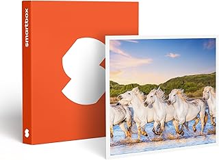 Smartbox - Coffret Cadeau - Séjour Romantique : 2 
